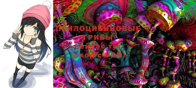 дарнет шоп  OMG ONION  Галлюциногенные грибы MAGIC MUSHROOMS  Новомичуринск 